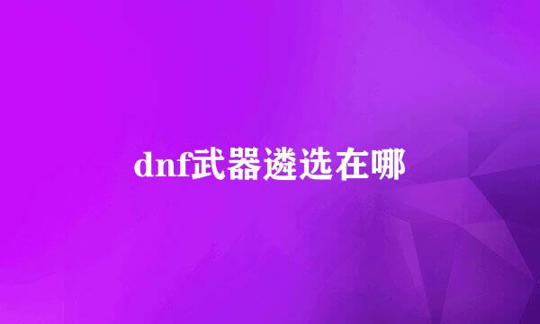 dnf武器遴选在哪