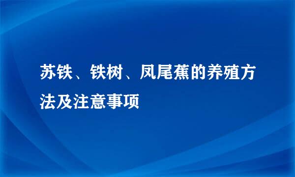 苏铁、铁树、凤尾蕉的养殖方法及注意事项