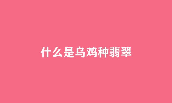 什么是乌鸡种翡翠