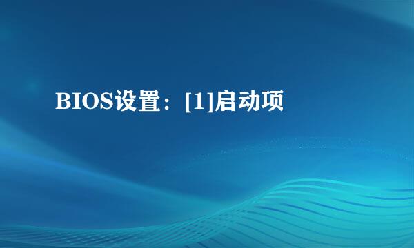 BIOS设置：[1]启动项