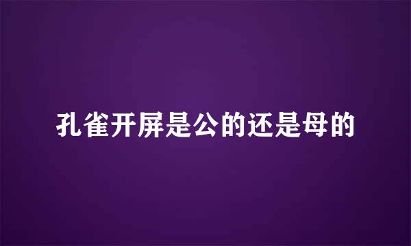 孔雀开屏是公的还是母的