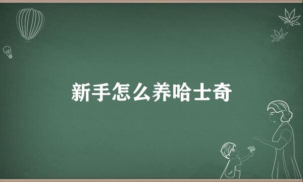新手怎么养哈士奇