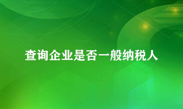 查询企业是否一般纳税人