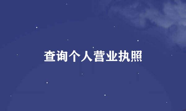 查询个人营业执照