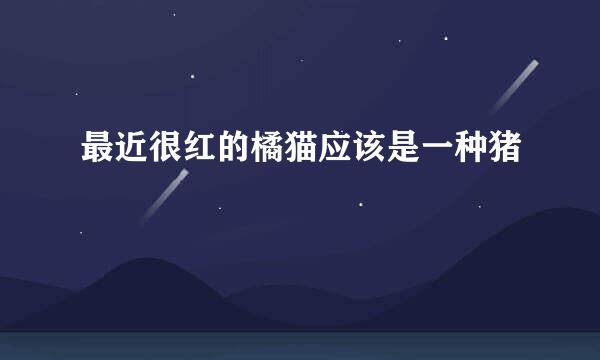 最近很红的橘猫应该是一种猪