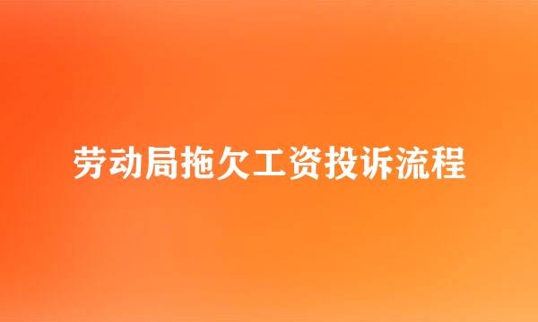 劳动局拖欠工资投诉流程