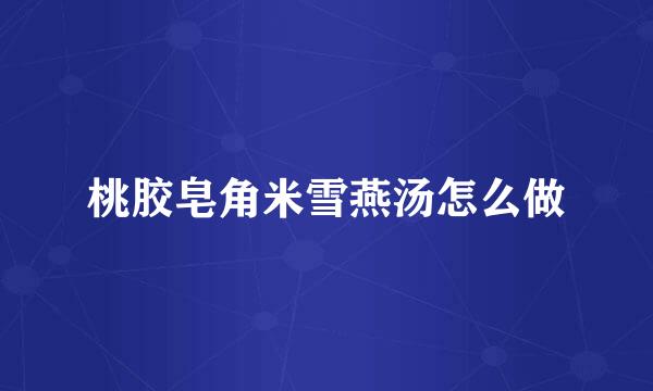 桃胶皂角米雪燕汤怎么做