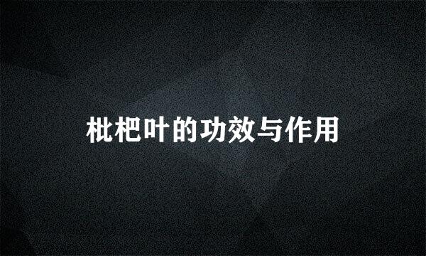 枇杷叶的功效与作用