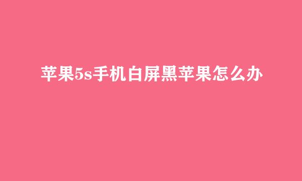 苹果5s手机白屏黑苹果怎么办