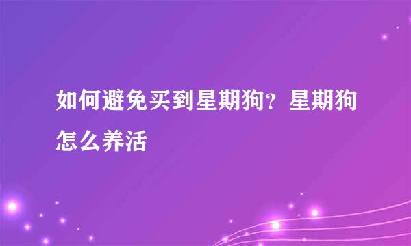 如何避免买到星期狗？星期狗怎么养活