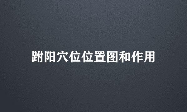 跗阳穴位位置图和作用
