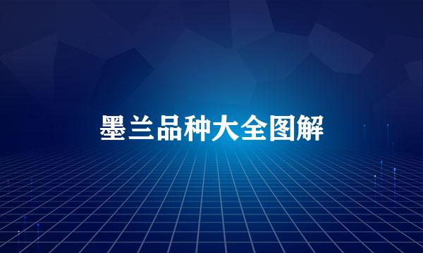 墨兰品种大全图解