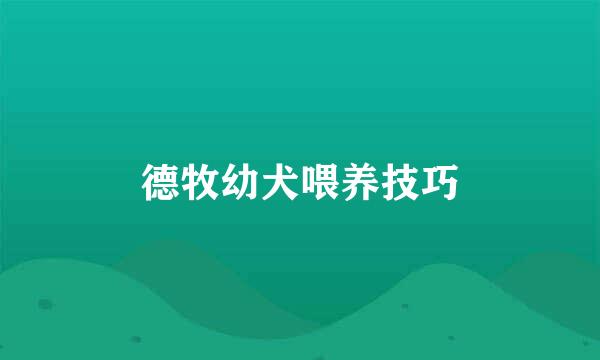 德牧幼犬喂养技巧
