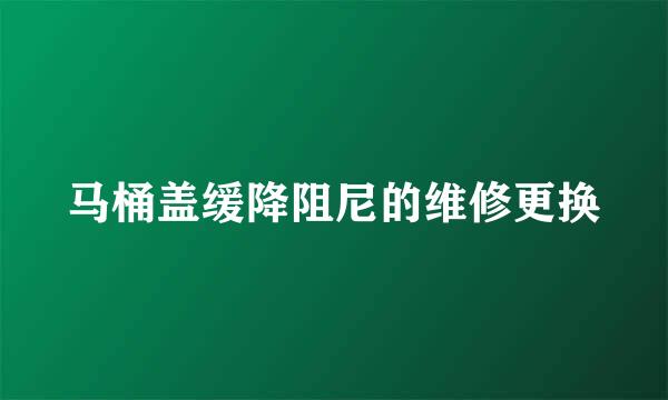 马桶盖缓降阻尼的维修更换