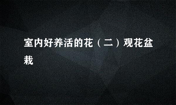室内好养活的花（二）观花盆栽