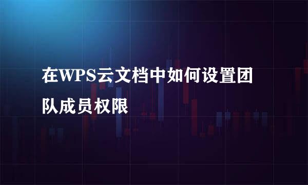 在WPS云文档中如何设置团队成员权限