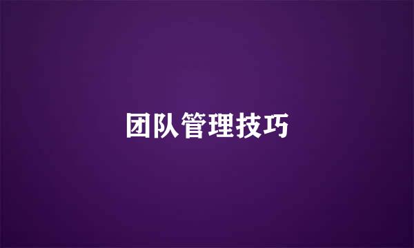 团队管理技巧