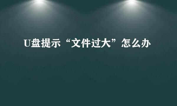U盘提示“文件过大”怎么办