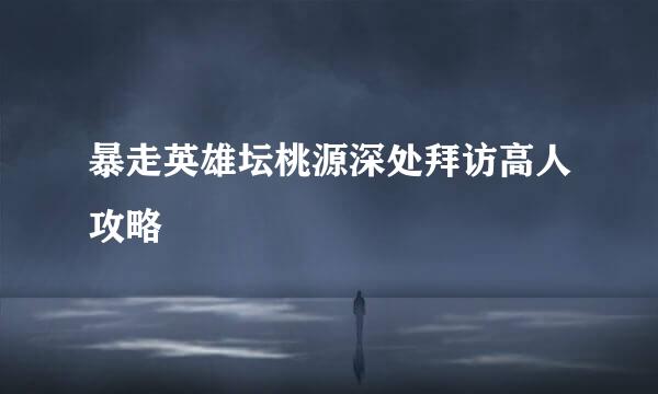 暴走英雄坛桃源深处拜访高人攻略