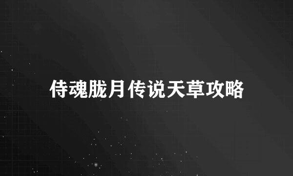 侍魂胧月传说天草攻略