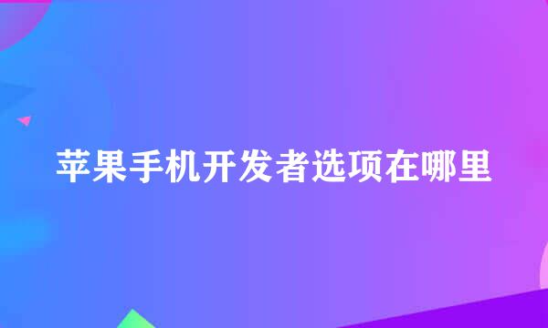 苹果手机开发者选项在哪里