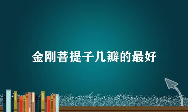 金刚菩提子几瓣的最好