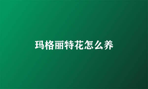 玛格丽特花怎么养