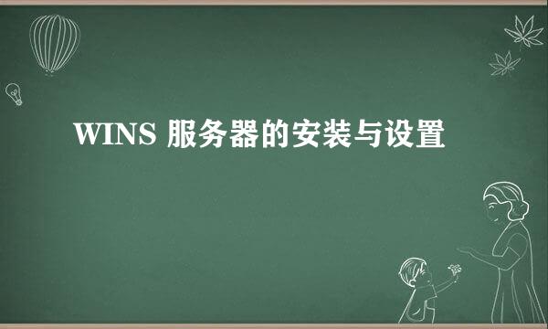 WINS 服务器的安装与设置