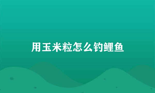 用玉米粒怎么钓鲤鱼