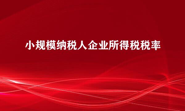 小规模纳税人企业所得税税率