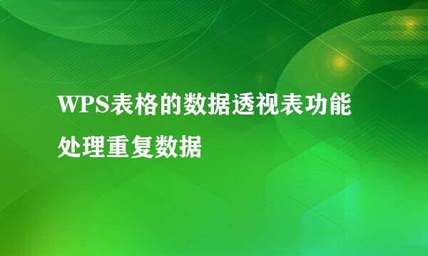 WPS表格的数据透视表功能处理重复数据