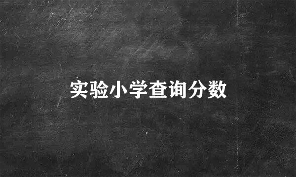 实验小学查询分数