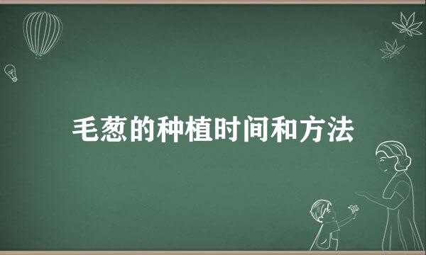毛葱的种植时间和方法
