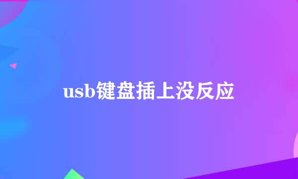 usb键盘插上没反应