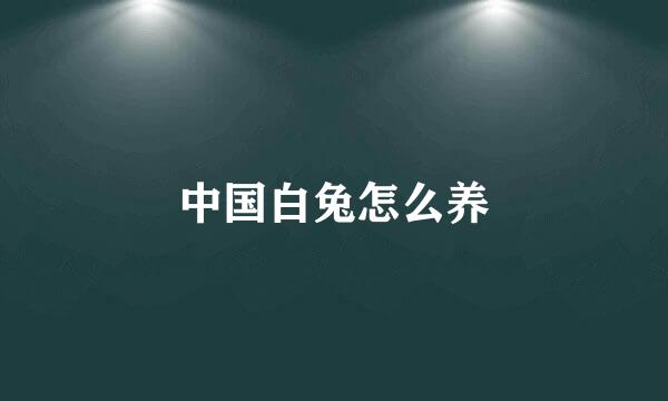 中国白兔怎么养