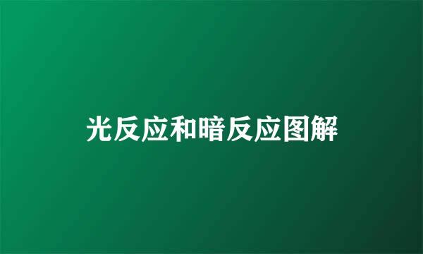 光反应和暗反应图解