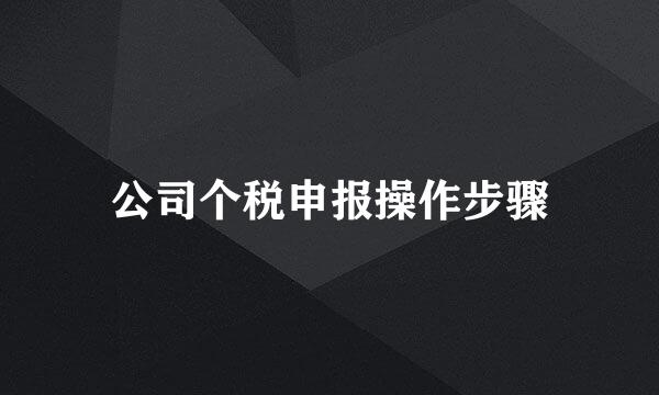 公司个税申报操作步骤