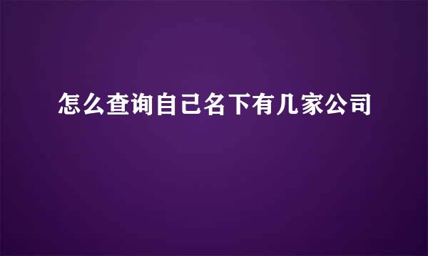 怎么查询自己名下有几家公司