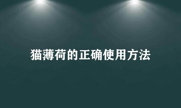 猫薄荷的正确使用方法