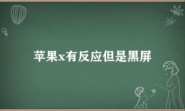 苹果x有反应但是黑屏