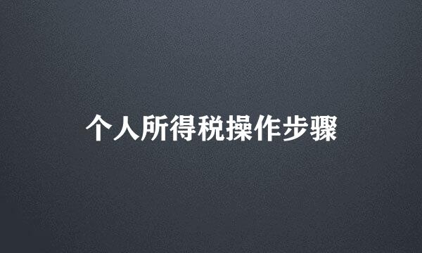 个人所得税操作步骤