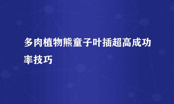 多肉植物熊童子叶插超高成功率技巧