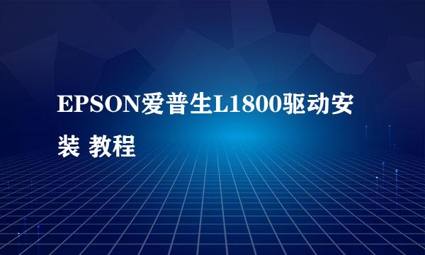 EPSON爱普生L1800驱动安装 教程