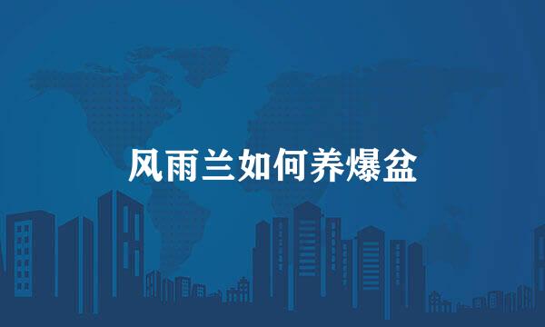 风雨兰如何养爆盆