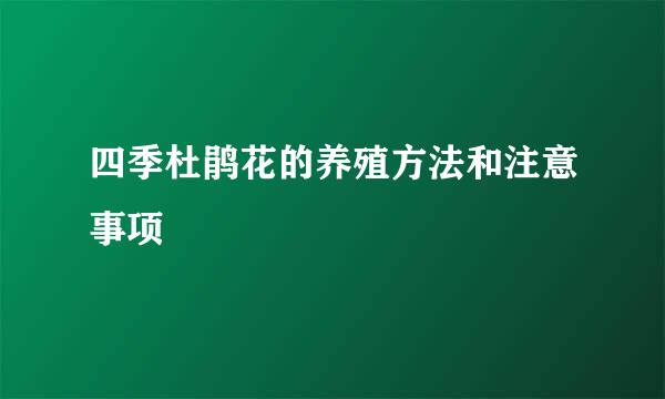 四季杜鹃花的养殖方法和注意事项