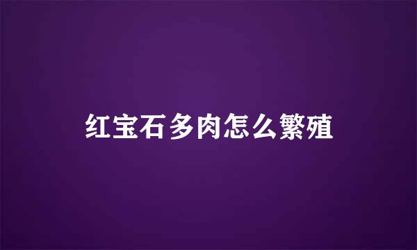 红宝石多肉怎么繁殖