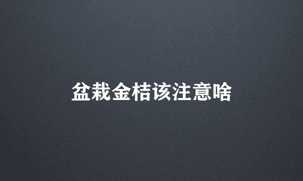 盆栽金桔该注意啥