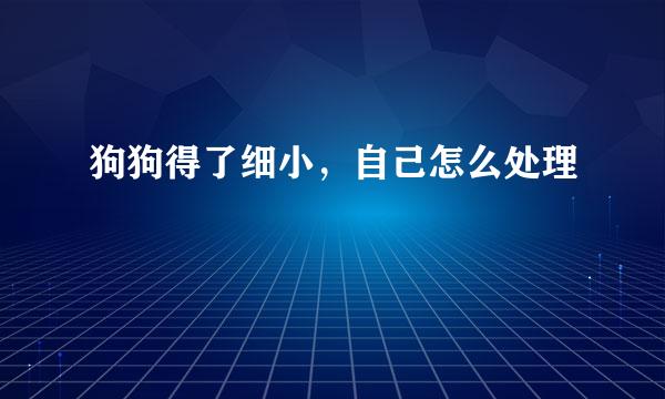 狗狗得了细小，自己怎么处理