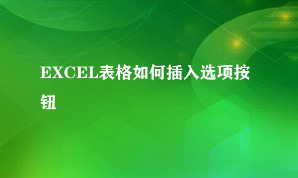 EXCEL表格如何插入选项按钮