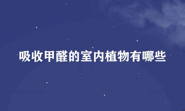 吸收甲醛的室内植物有哪些